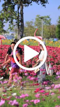 BIB:  <button type="button" onclick="openModal(27588431)" class="btn btn-primary btn-sm float-right" data-toggle="modal" data-target=".modal-high-quality">
                <i class="fa fa-download"></i> Download
                </button>